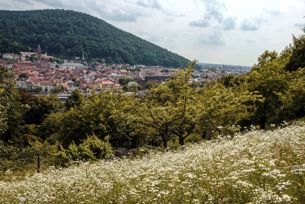 Heidelberg Tipps Schlangenweg