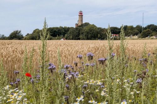 Kap Arkona Leuchtturm