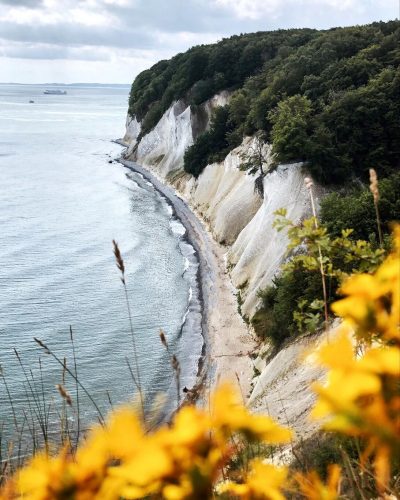Kreidefelsen Rügen