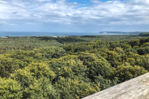 Rügen Tipps Baumwipfelpfad Prora Ausblick