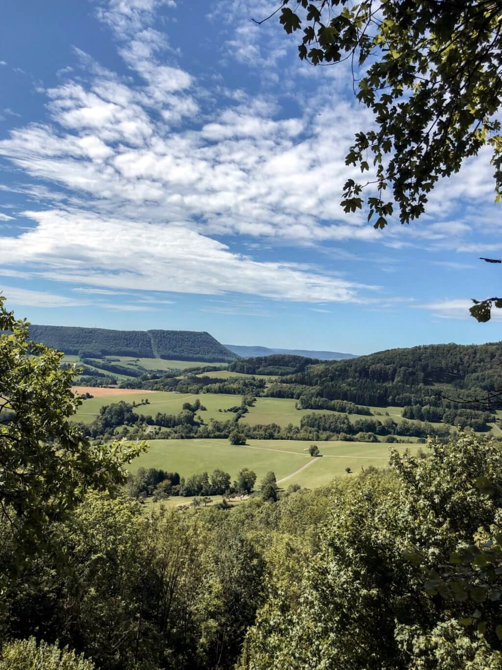 Schwäbische Alb vom Kalten Feld