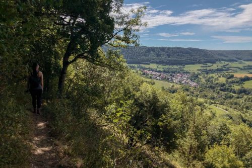 Wanderweg am Kalten Feld
