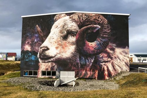 Streetart Schaf Island Hellissandur