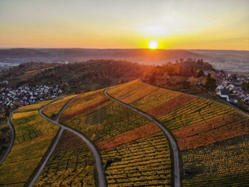 Weinberge Stuttgart Rotenberg Sonnenuntergang