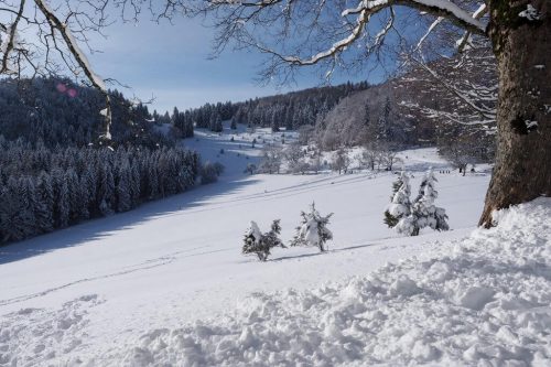 Ausflugstipp Winter Schwäbische Alb