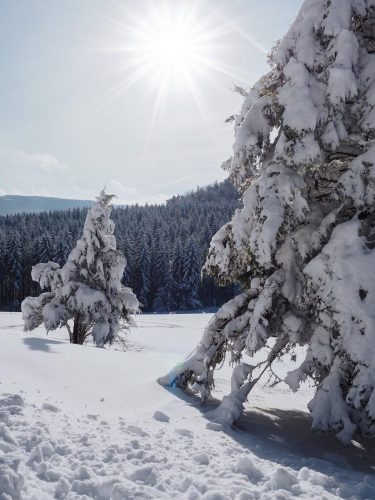 Balingen Winterlandschaft