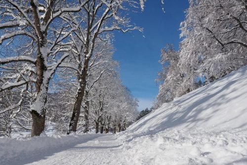 Schwäbische Alb Winterwandern Balingen