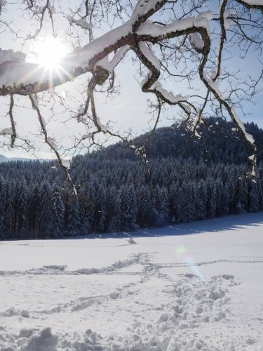 Wintersonne Schwäbische Alb