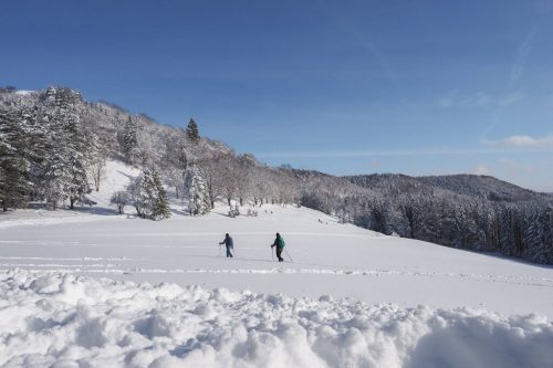 Winterwandern Lochen Balingen