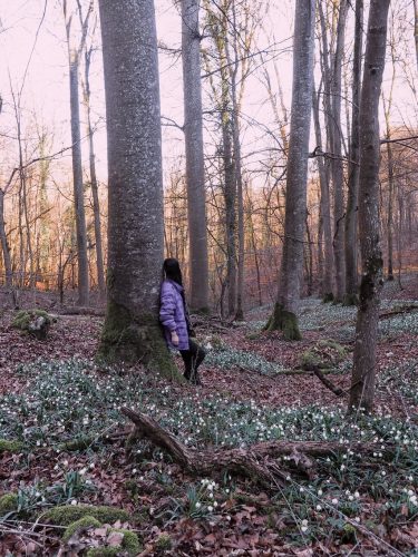 Maerzenbecher Bad Ueberkingen wandern
