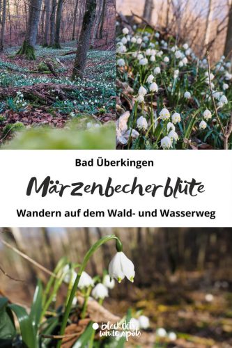 Wandern zur Maerzenbecherbluete Bad Ueberkingen