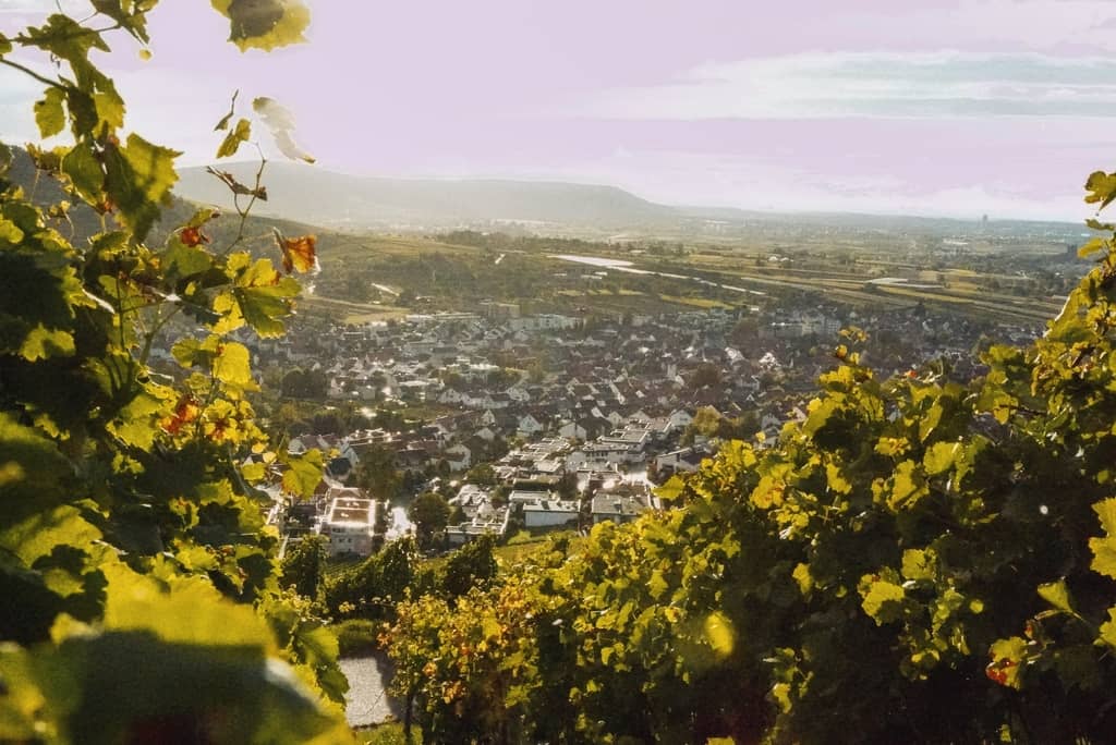 Blick auf Weinstadt Remstal