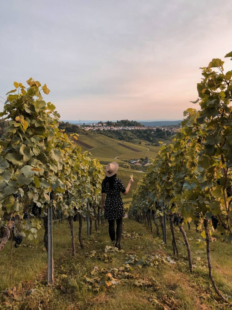 Fellbach Weinwanderweg Kappelberg