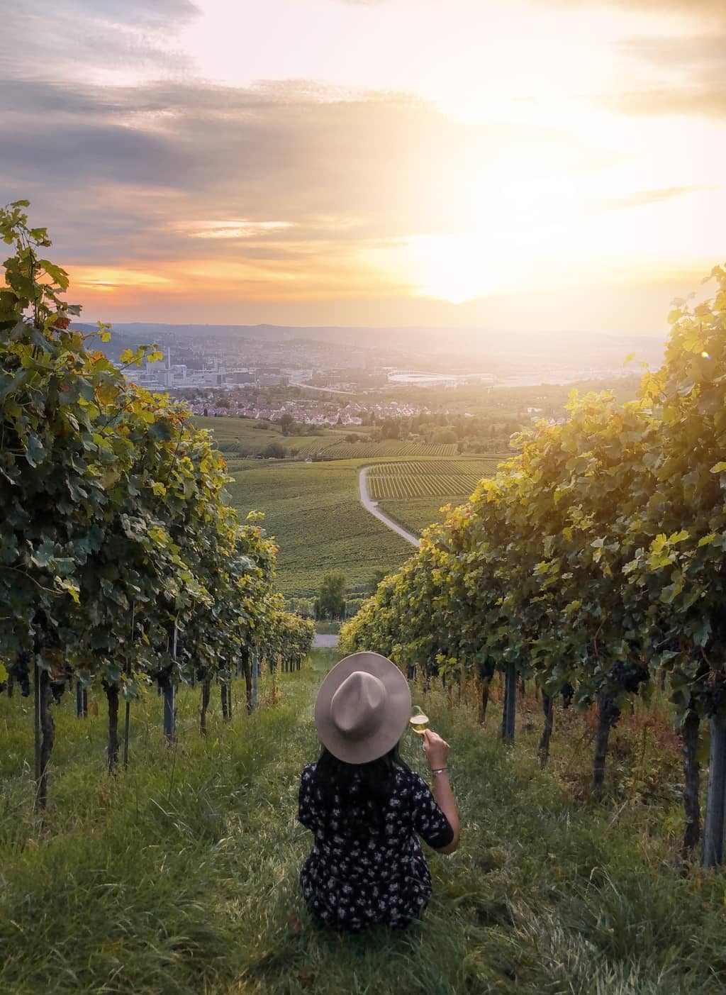 Fellbacher Weinweg Remstal