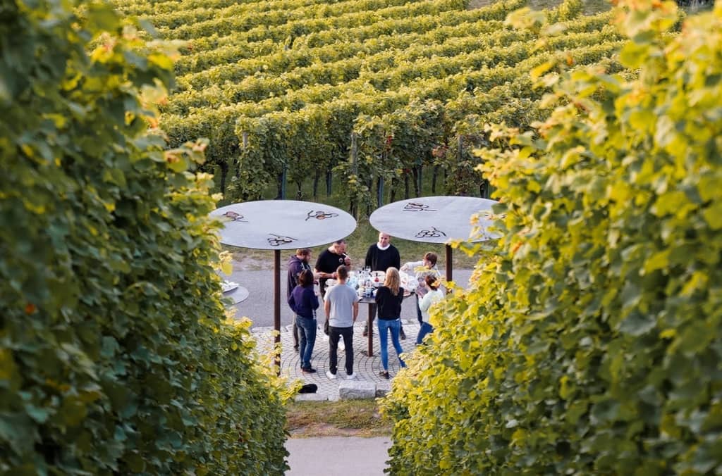 Panoramaterrasse Kappelberg Fellbach