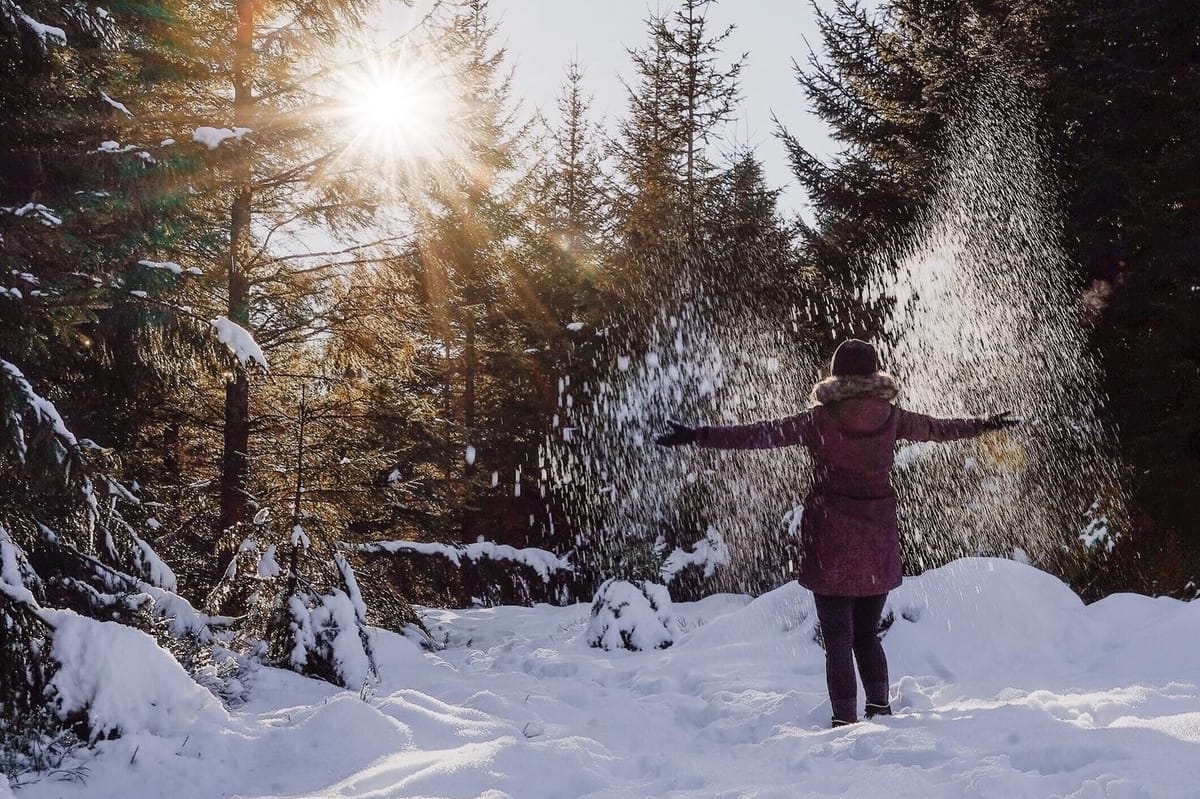 Winterwandern Hohloh Kaltenbronn im nördlichen Schwarzwald