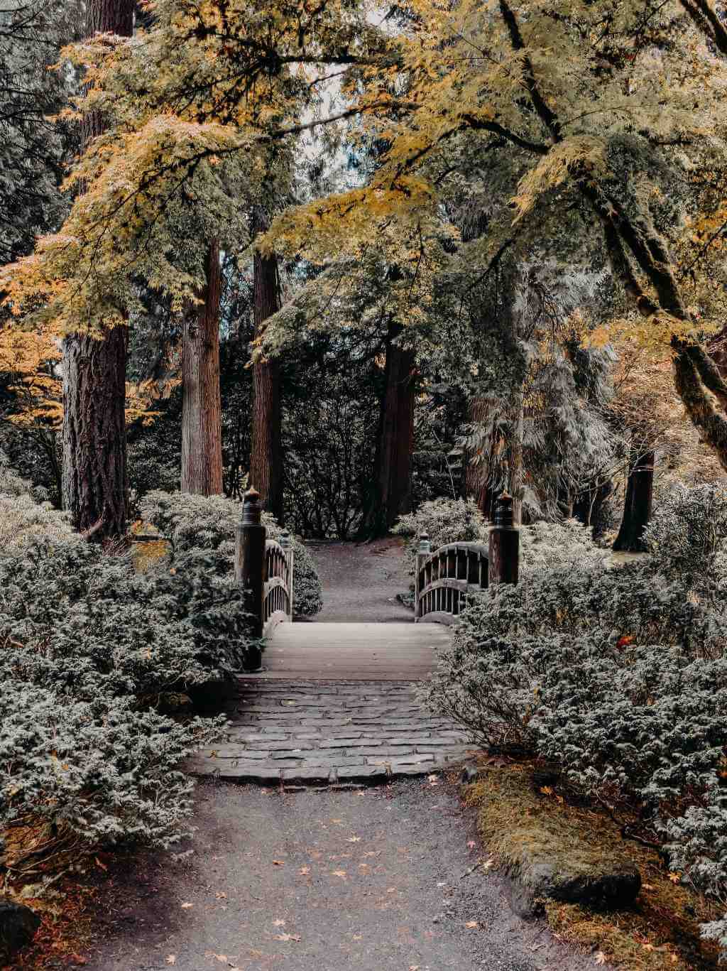 Wandereg mit Brücke in einem Park in Portland, Oregon