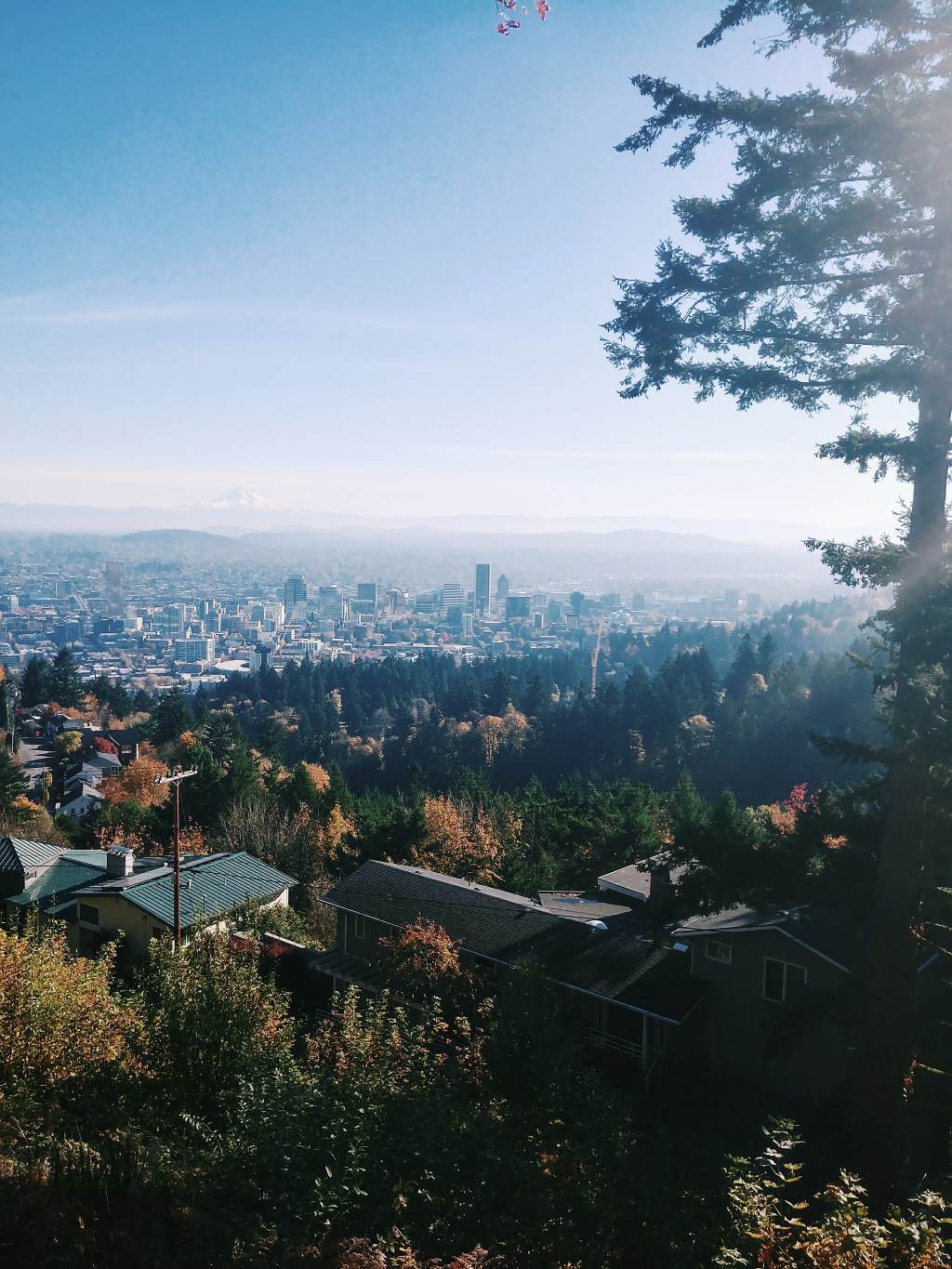 Blick auf die Skyline von Portland Oregon aus der Ferne