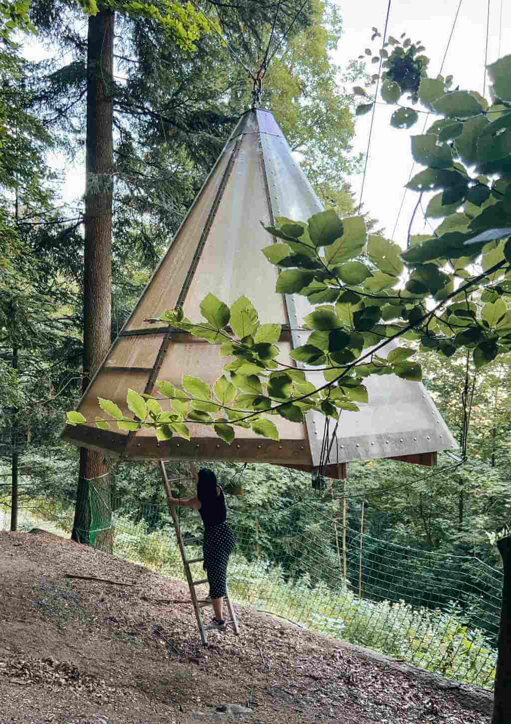 Ein Baumhaus hängt wie ein schwebendes Zelt im Wald im Nordschwarzwald